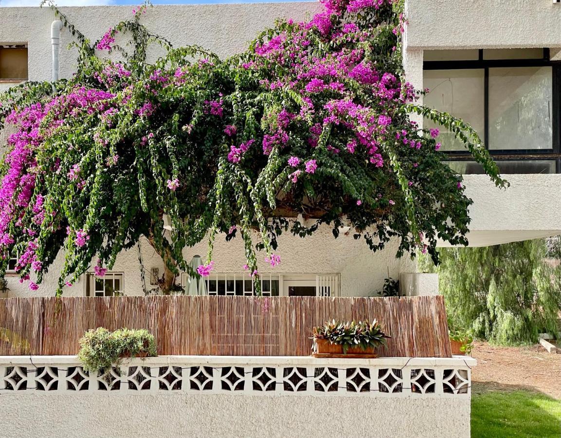 Apartamento Casa Zoltan Costa del Silencio Exterior foto